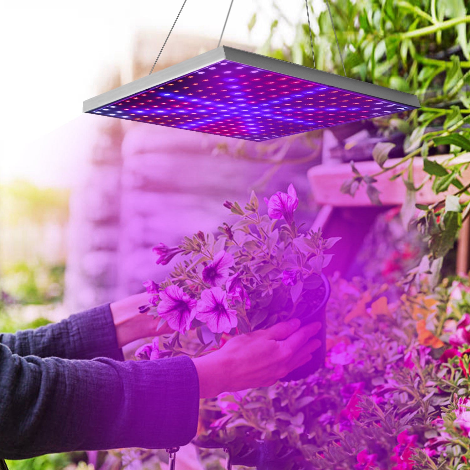 Full Spectrum LED Grow Light – 225 LEDs, 15W Hanging Plant Light
