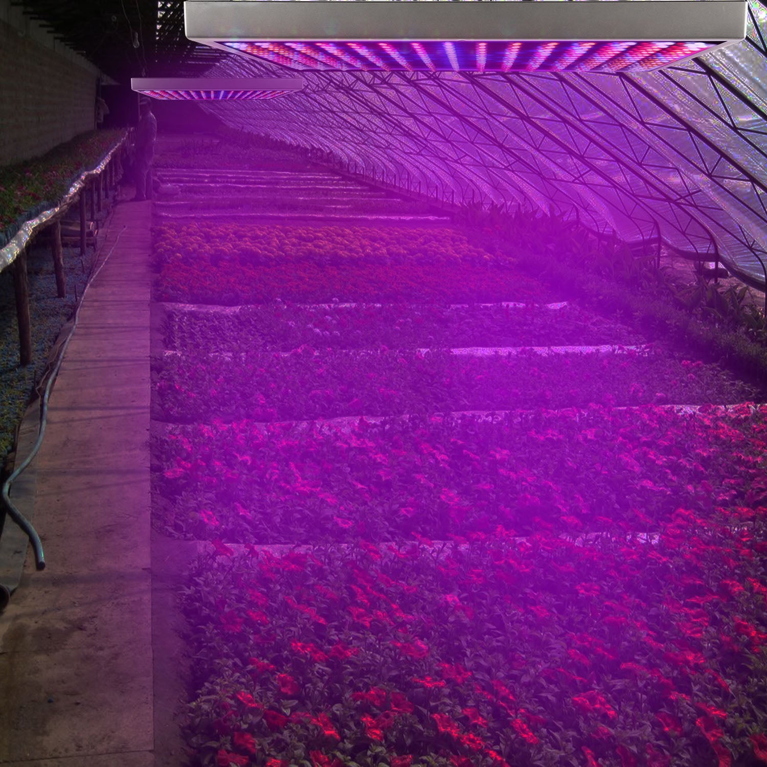 Full Spectrum LED Grow Light – 225 LEDs, 15W Hanging Plant Light