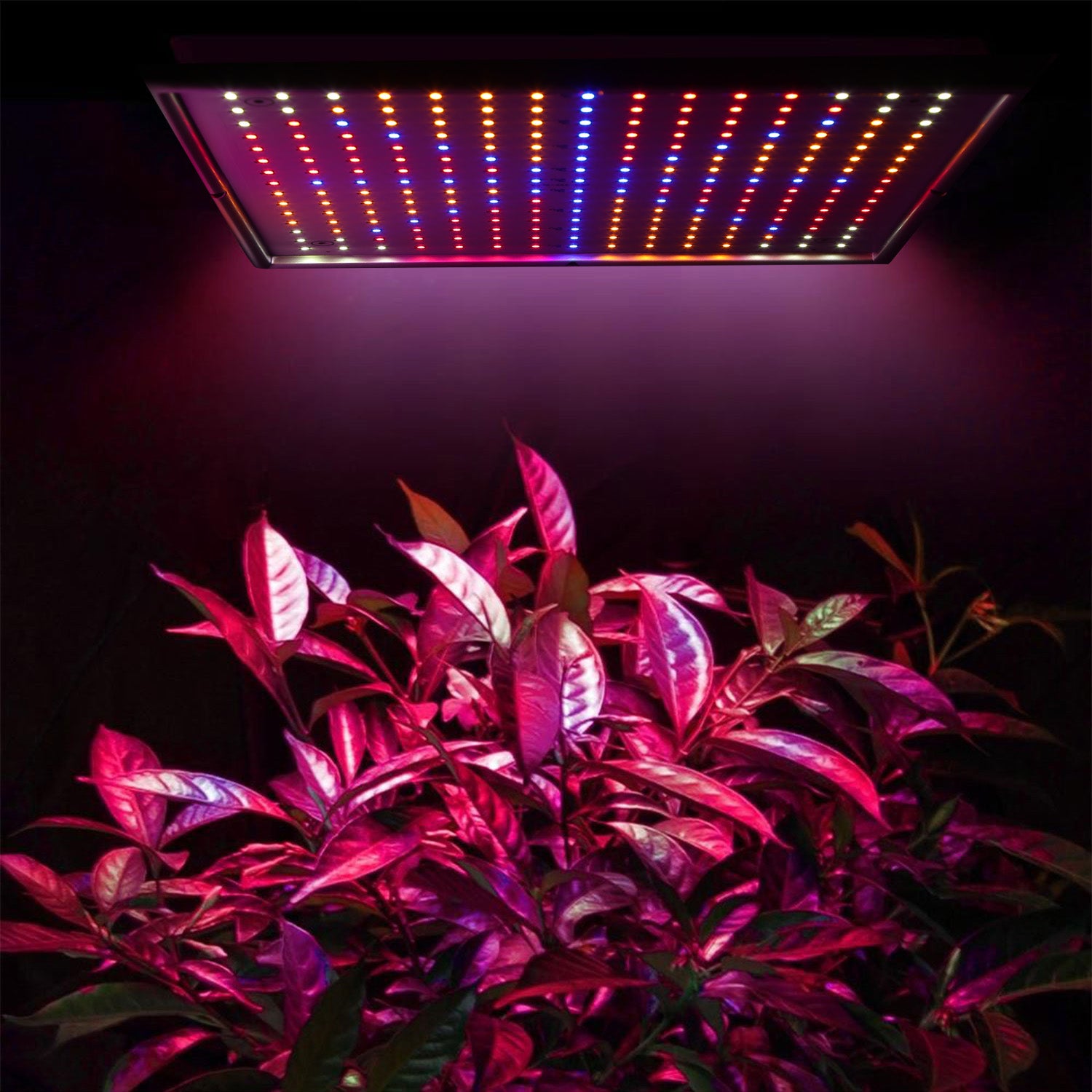 Full Spectrum LED Grow Light – 225 LEDs, 15W Hanging Plant Light